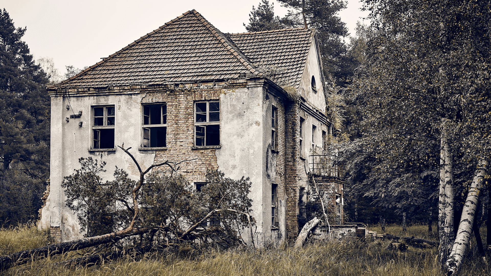 Cover Image for Huskøb - De Skjulte Risici Ingen Taler Om